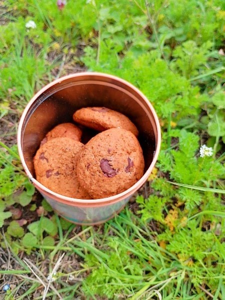 Овесени бисквити за пикник