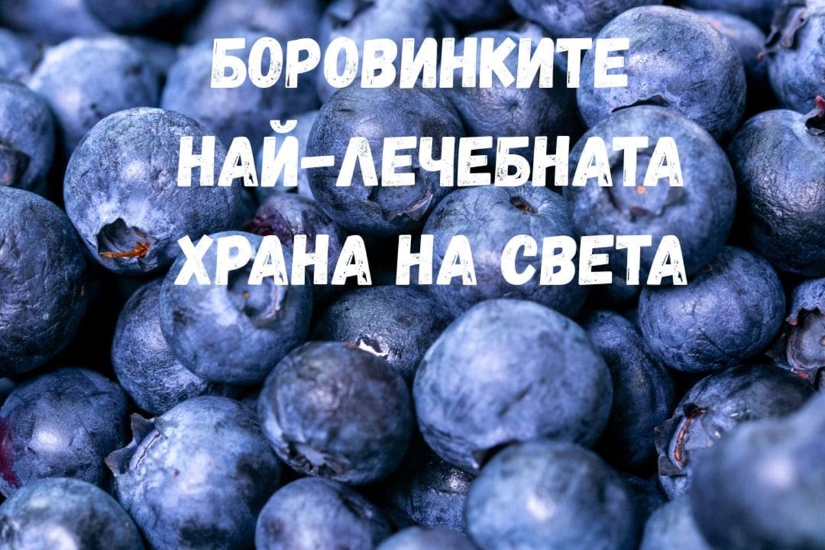 Диви боровинки - храна за възкресение